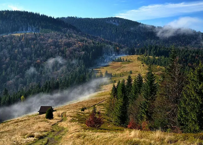 Apartament Apartament *